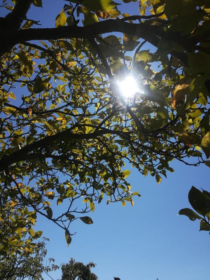 La Stella Delle Alpi Hotel Vico Canavese Eksteriør billede