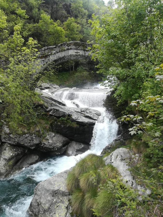 La Stella Delle Alpi Hotel Vico Canavese Eksteriør billede