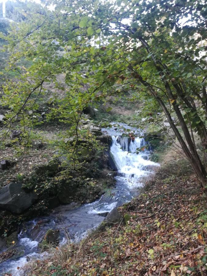 La Stella Delle Alpi Hotel Vico Canavese Eksteriør billede
